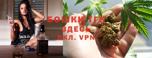 дурь Арсеньев